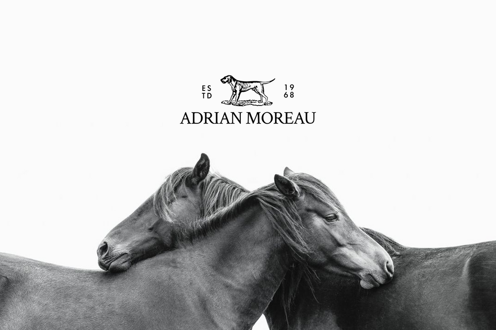 ADRIAN MOREAU